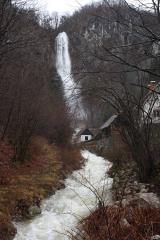 Log v Bohinju (avtor fotografije Stane Klemenc)